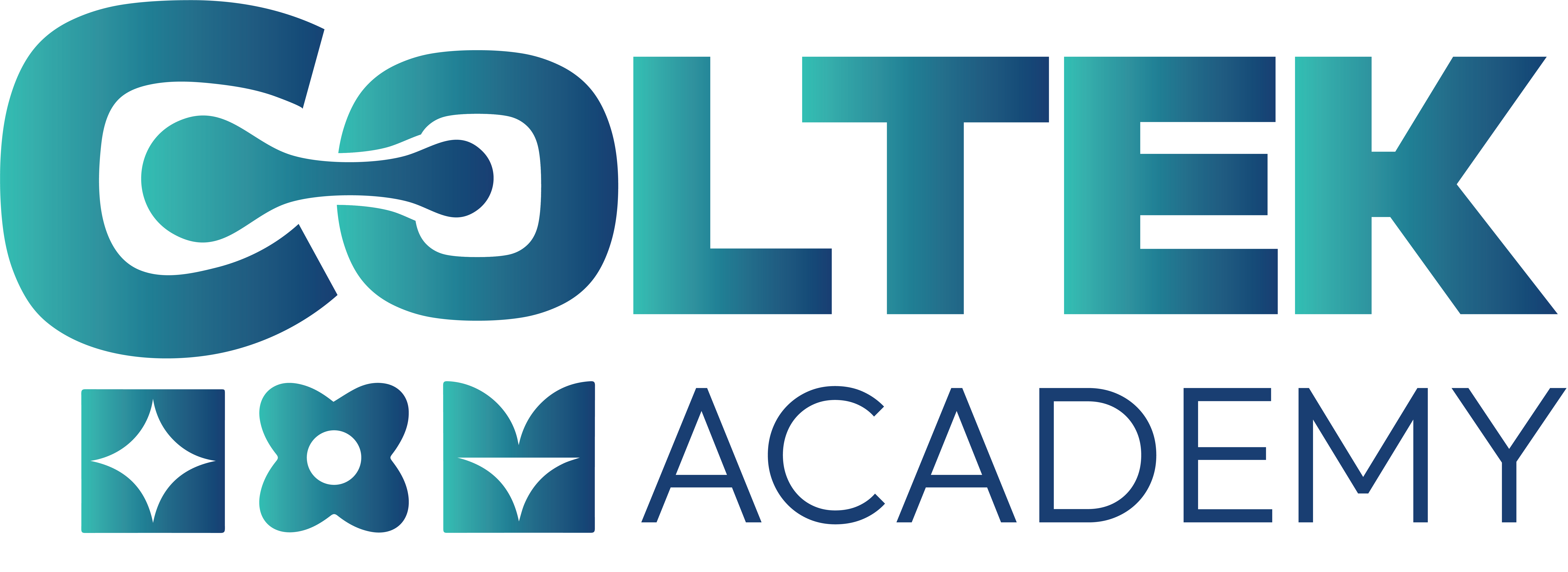 Coltek Academy logo